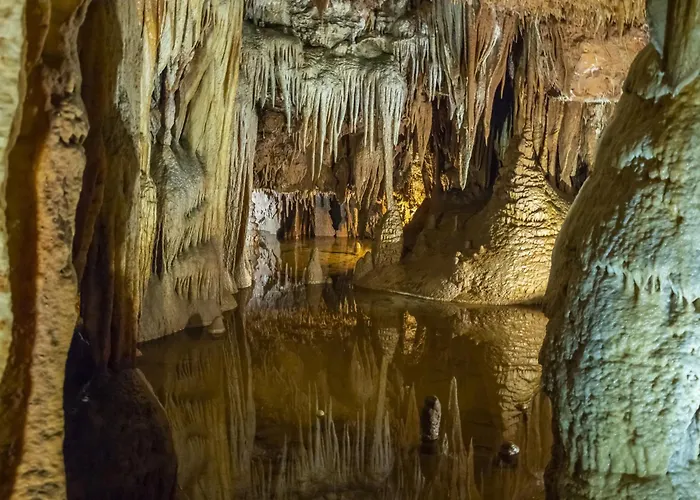 One-bedroom 24 Lejlighed Poreč